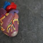 Building a Relationship With Your Cardiologist