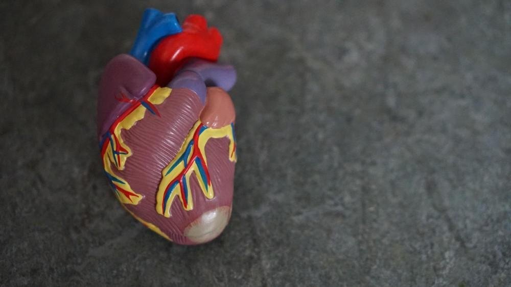 Building a Relationship With Your Cardiologist