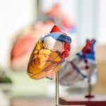How a Cardiologist Can Help You Manage Your Heart Health
