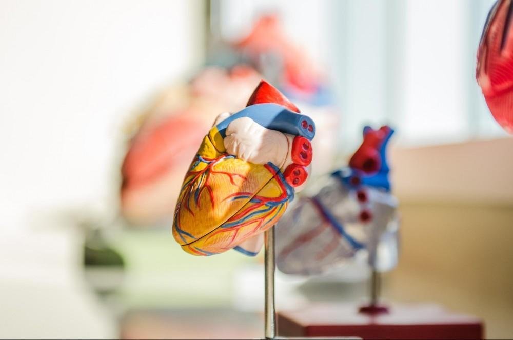 How a Cardiologist Can Help You Manage Your Heart Health