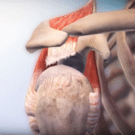Recovery Process After a Rotator Cuff Tear