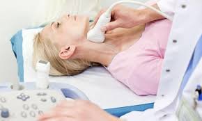 Vascular Lab Testing and How It Assesses Your Vascular Health