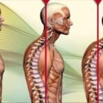 Understanding the Relationship Between Neck Pain and Posture
