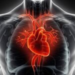Exploring Treatments for Congestive Heart Failure