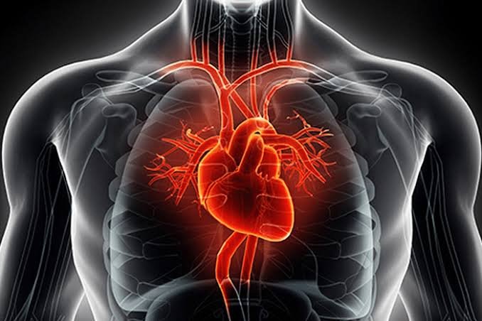 Exploring Treatments for Congestive Heart Failure