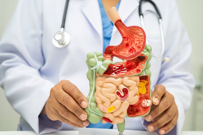 The Role of a Liver Specialist in Comprehensive Care
